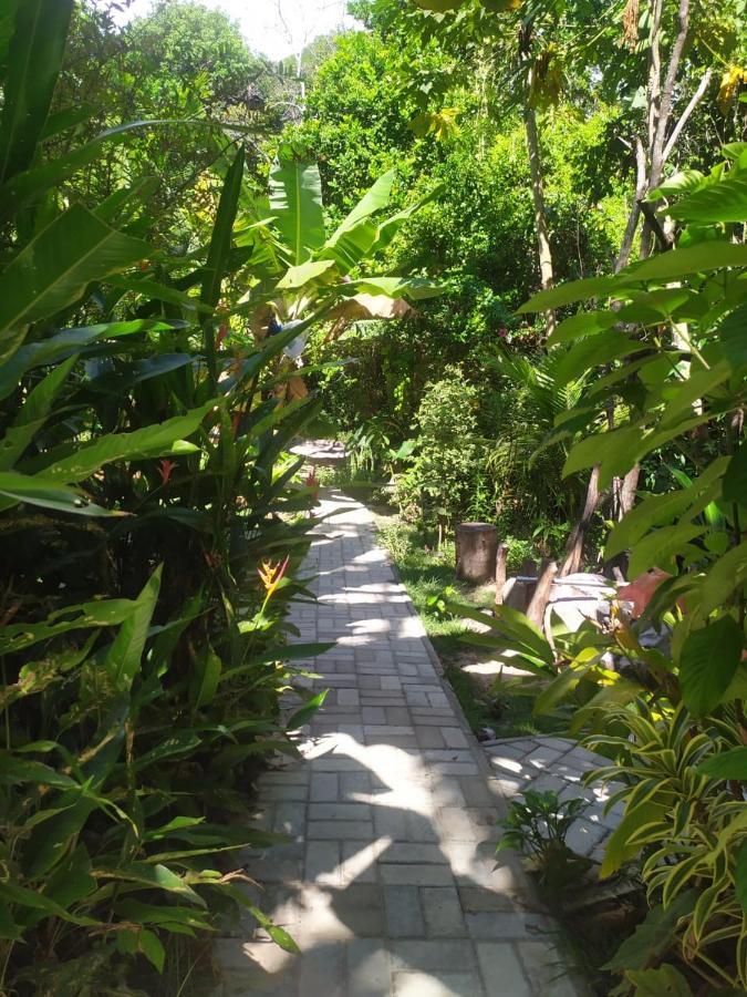 Arua Observacao De Vida Silvestre Praia do Forte Ngoại thất bức ảnh
