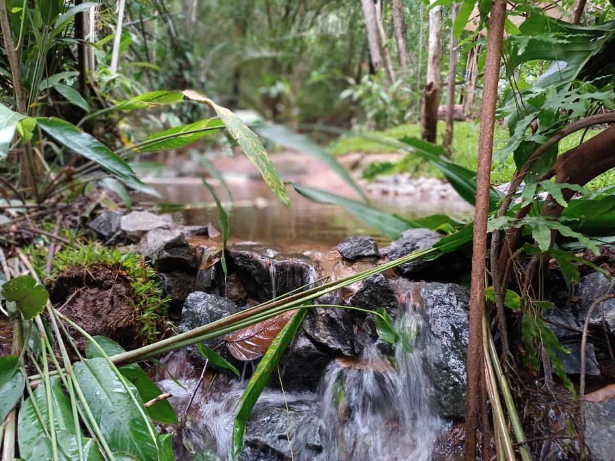Arua Observacao De Vida Silvestre Praia do Forte Ngoại thất bức ảnh